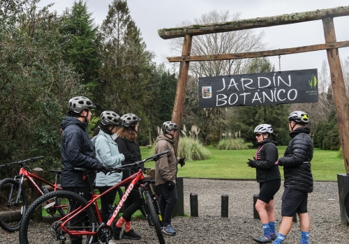 BIKE RENTALS