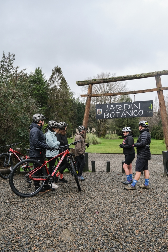 BIKE RENTALS